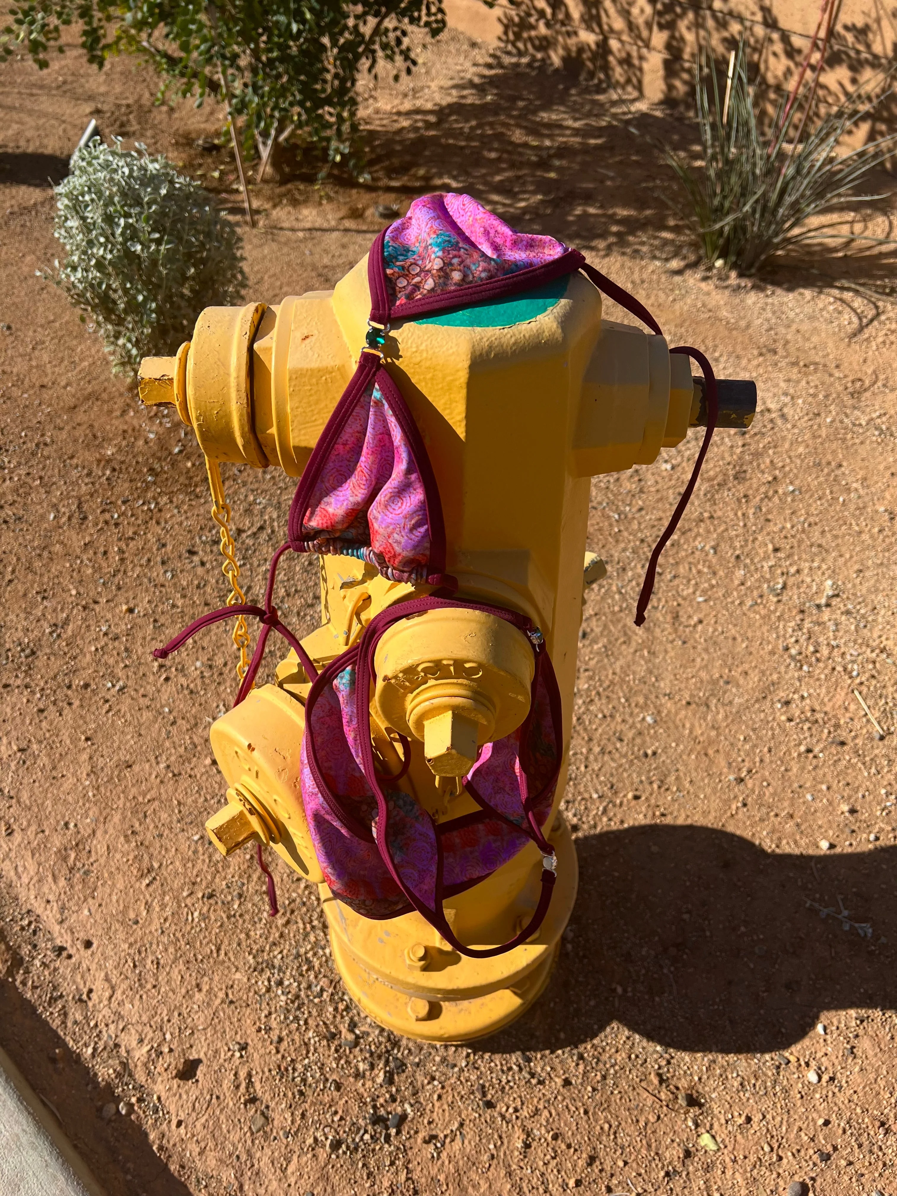 Sonic Bottom - Image 10